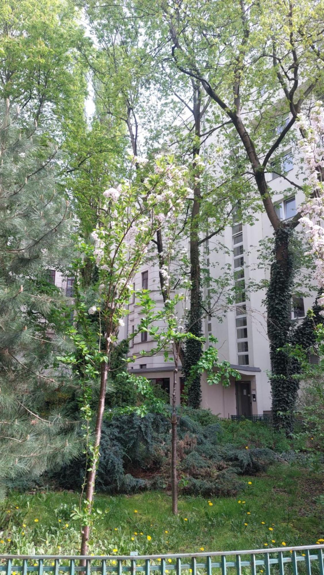 Downtown Elegant & Sunny Near Metro Station * Warschau