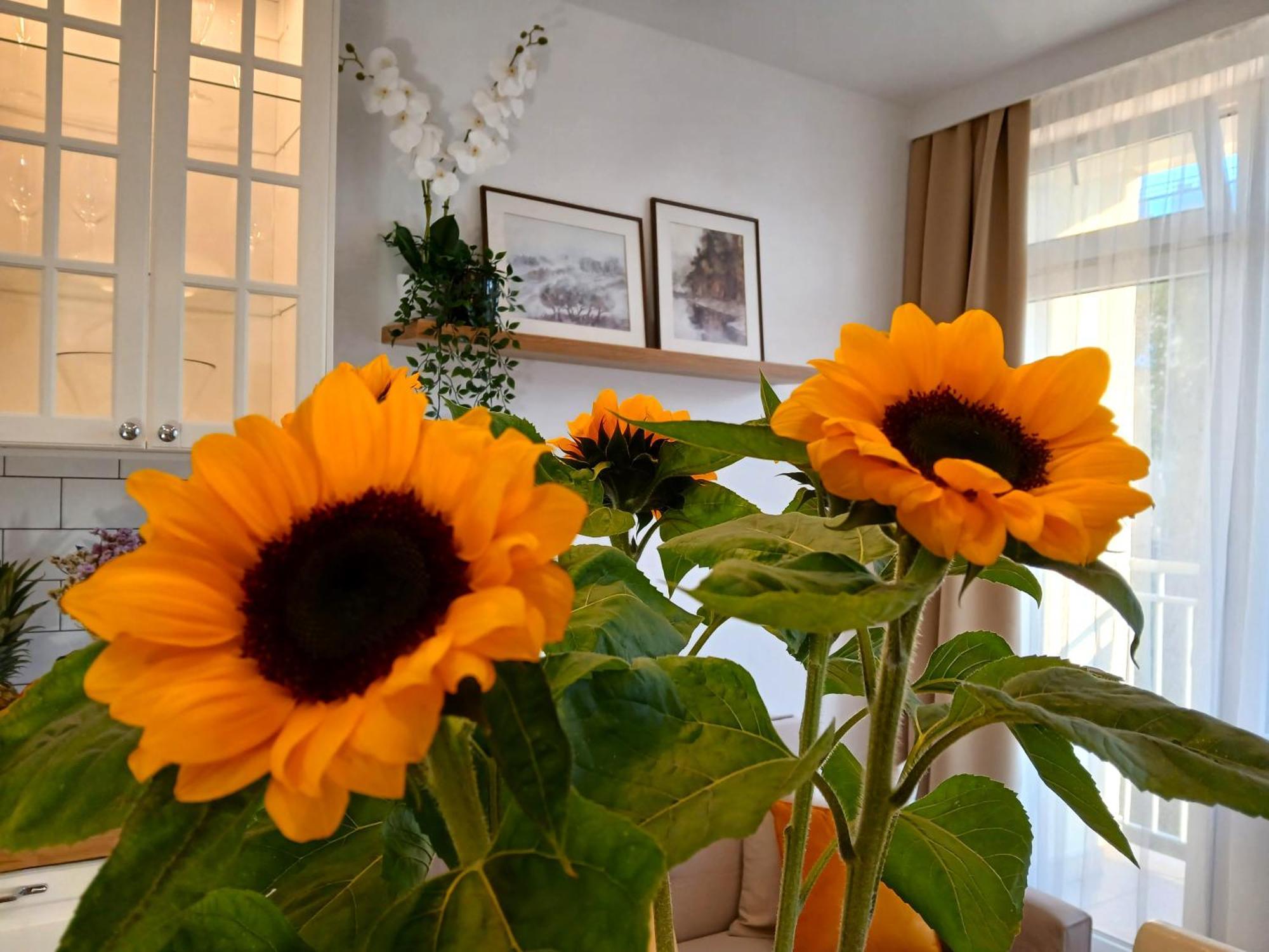 Appartement Downtown Elegant & Sunny Near Metro Station *
